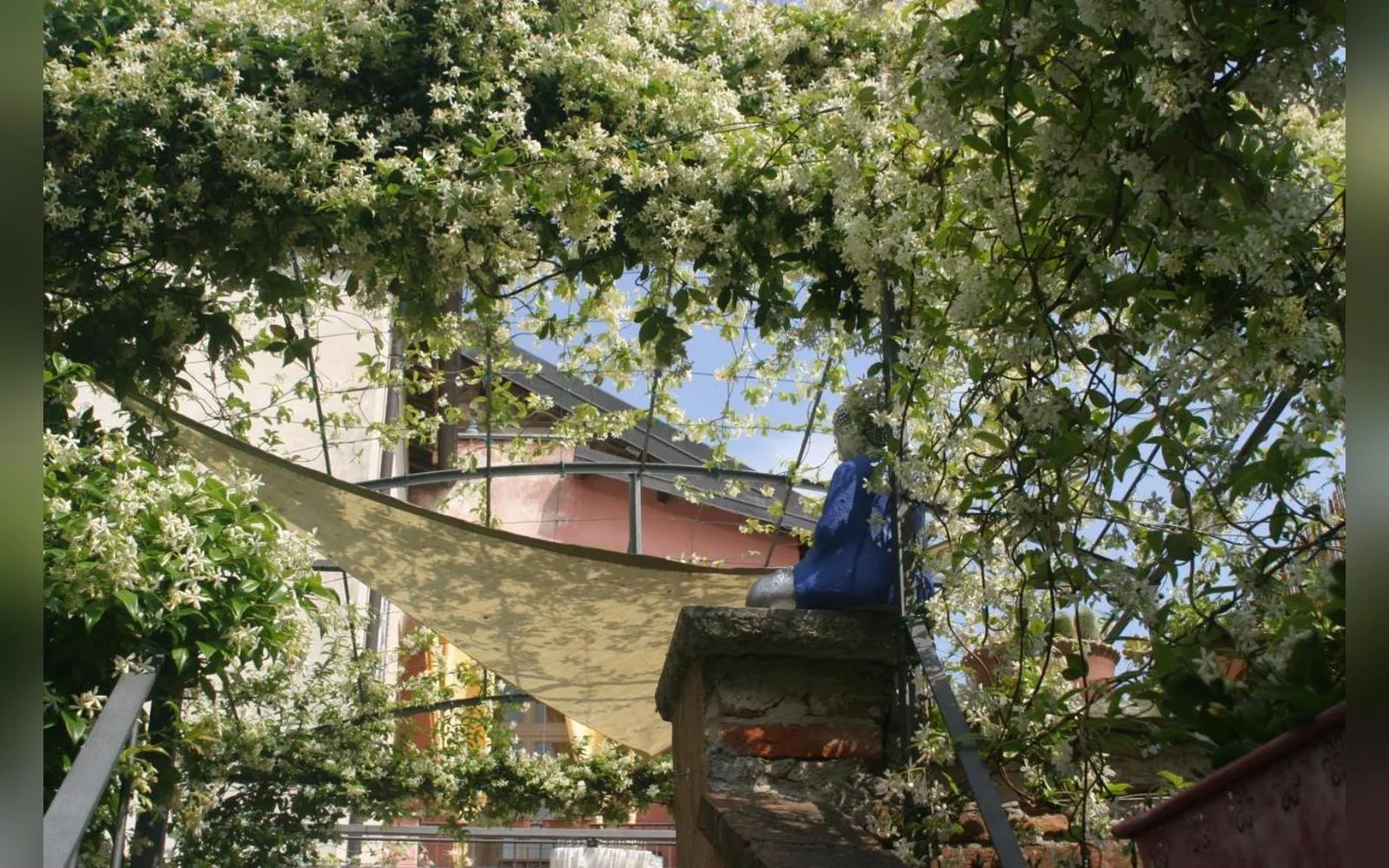 Lori's Inn, Mondovì (Piemonte) — galleria foto 10